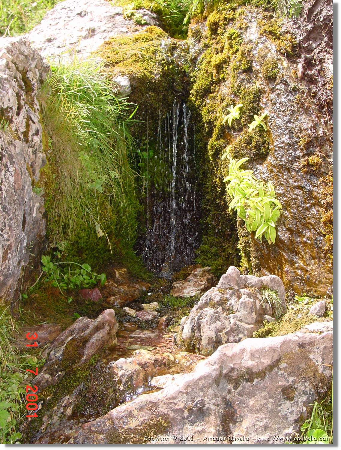 Belagua_185.jpg