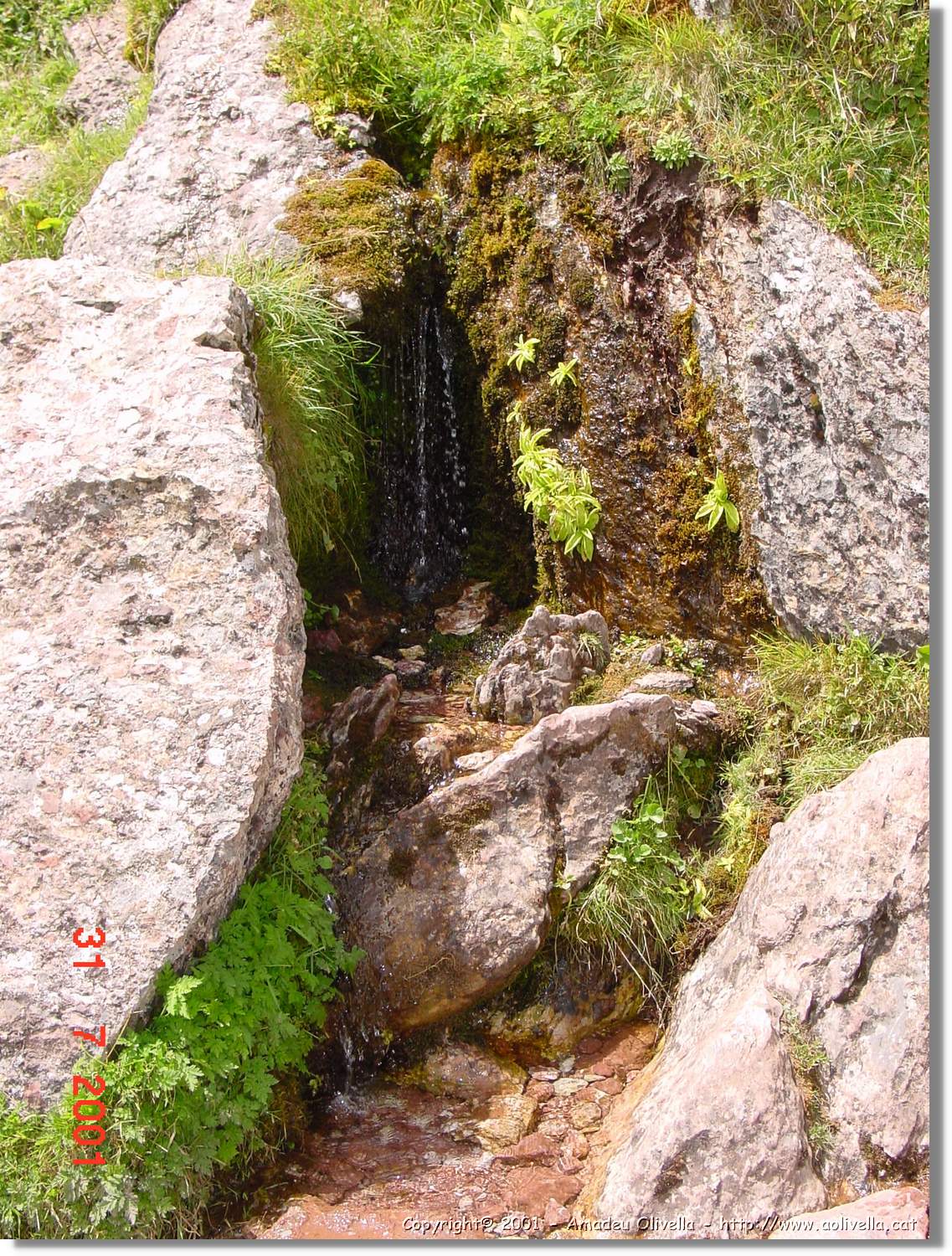 Belagua_186.jpg