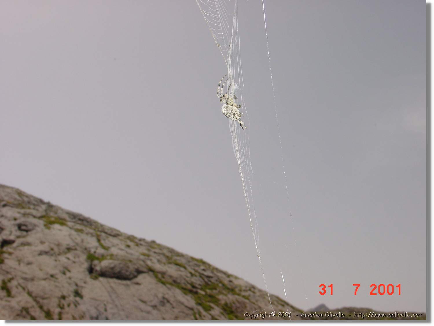Belagua_191.jpg