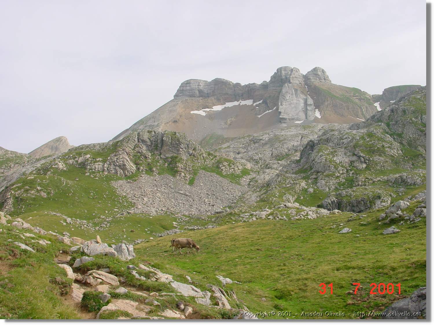 Belagua_208.jpg