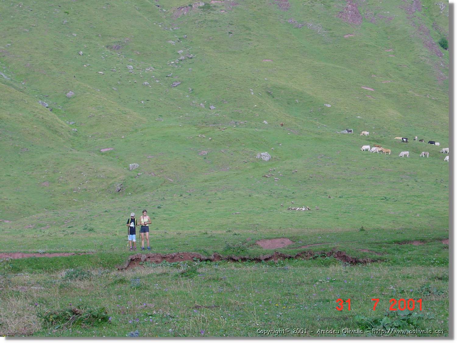 Belagua_220.jpg