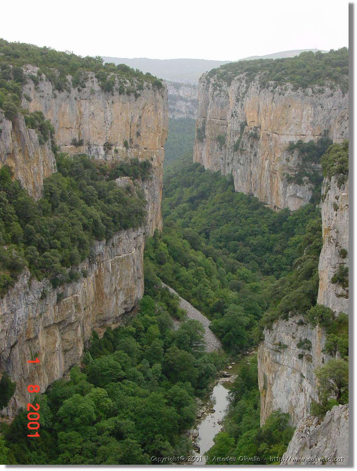 Belagua_227.jpg