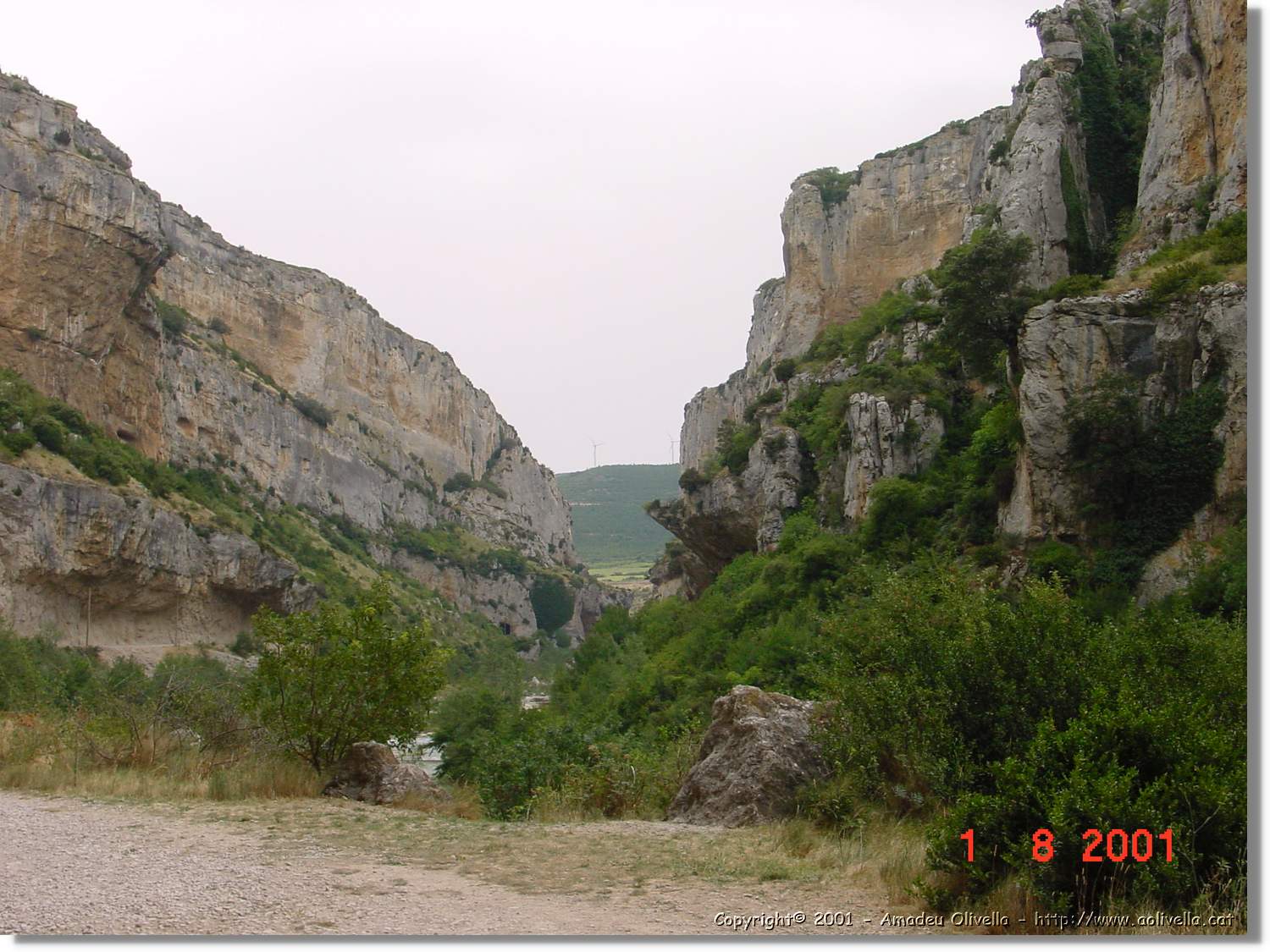 Belagua_230.jpg