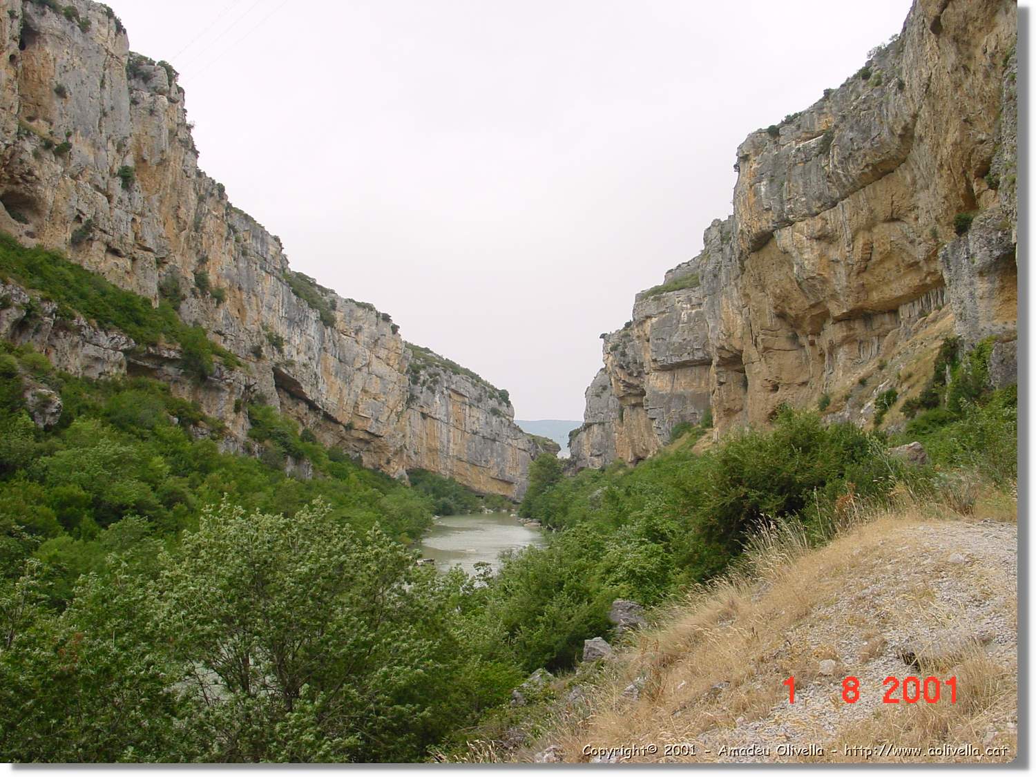 Belagua_231.jpg
