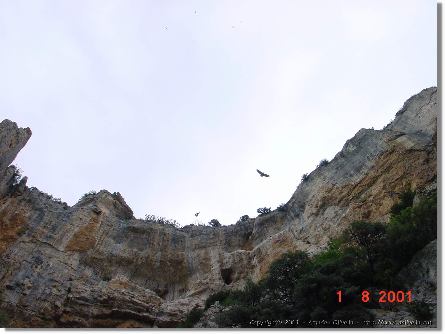 Belagua_232.jpg