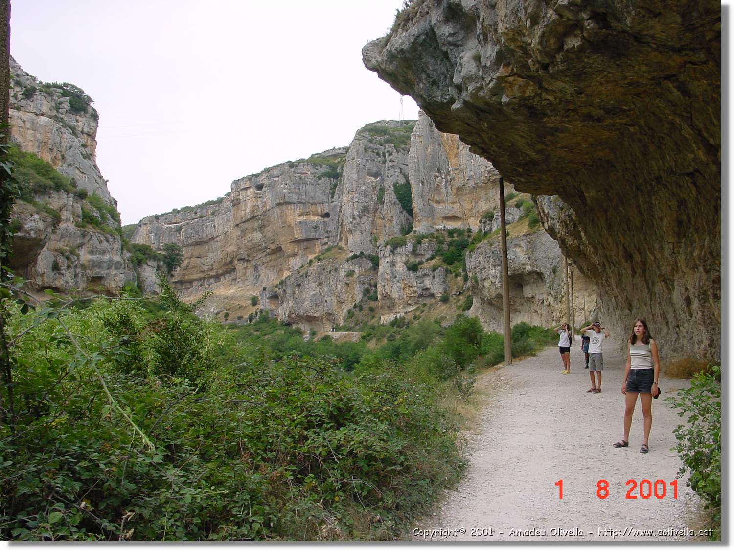 Belagua_233.jpg