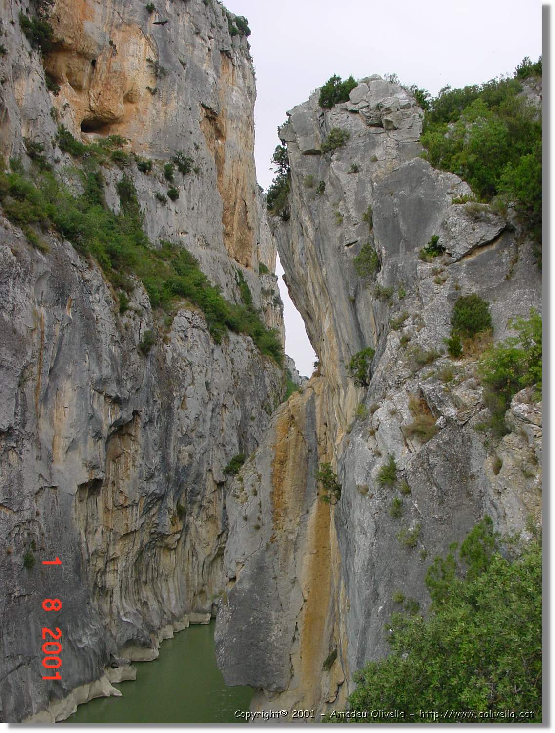 Belagua_235.jpg