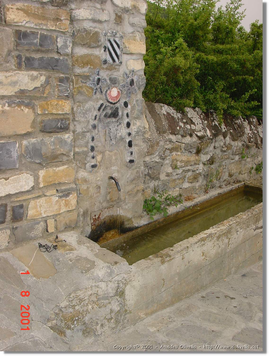 Belagua_249.jpg