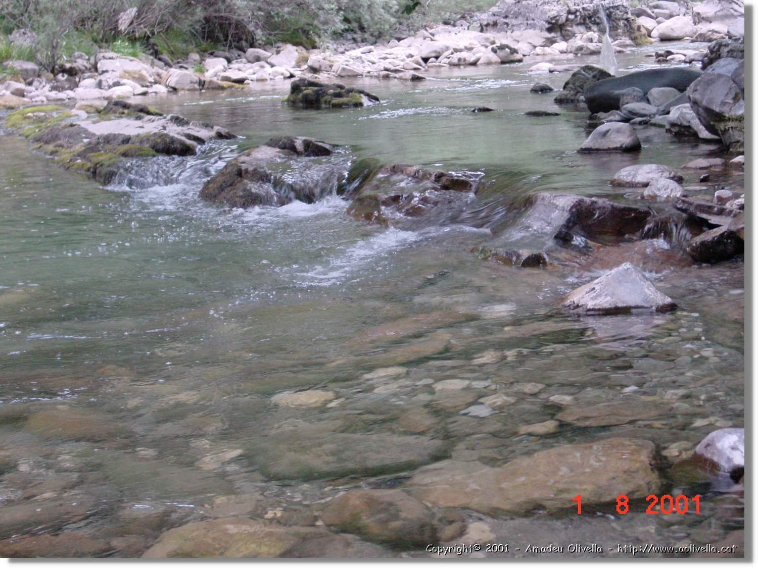Belagua_264.jpg