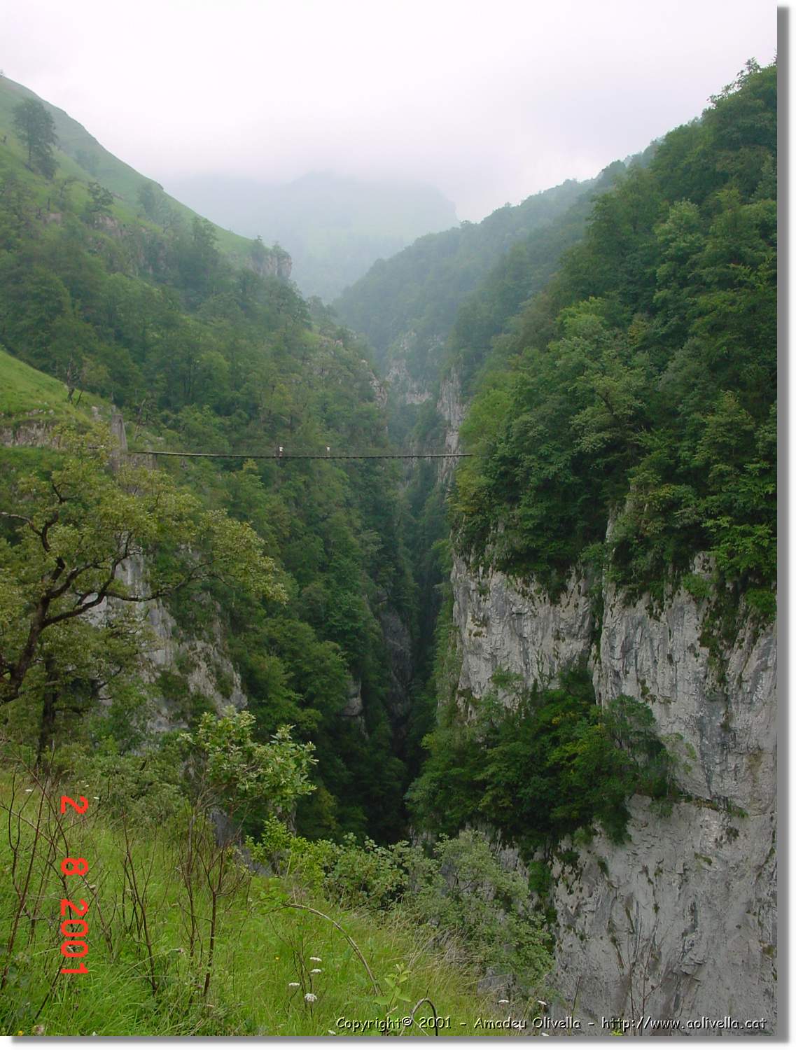 Belagua_273.jpg