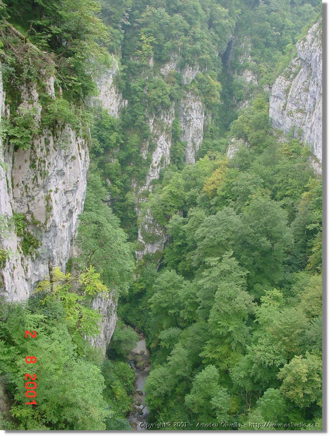 Belagua_282.jpg
