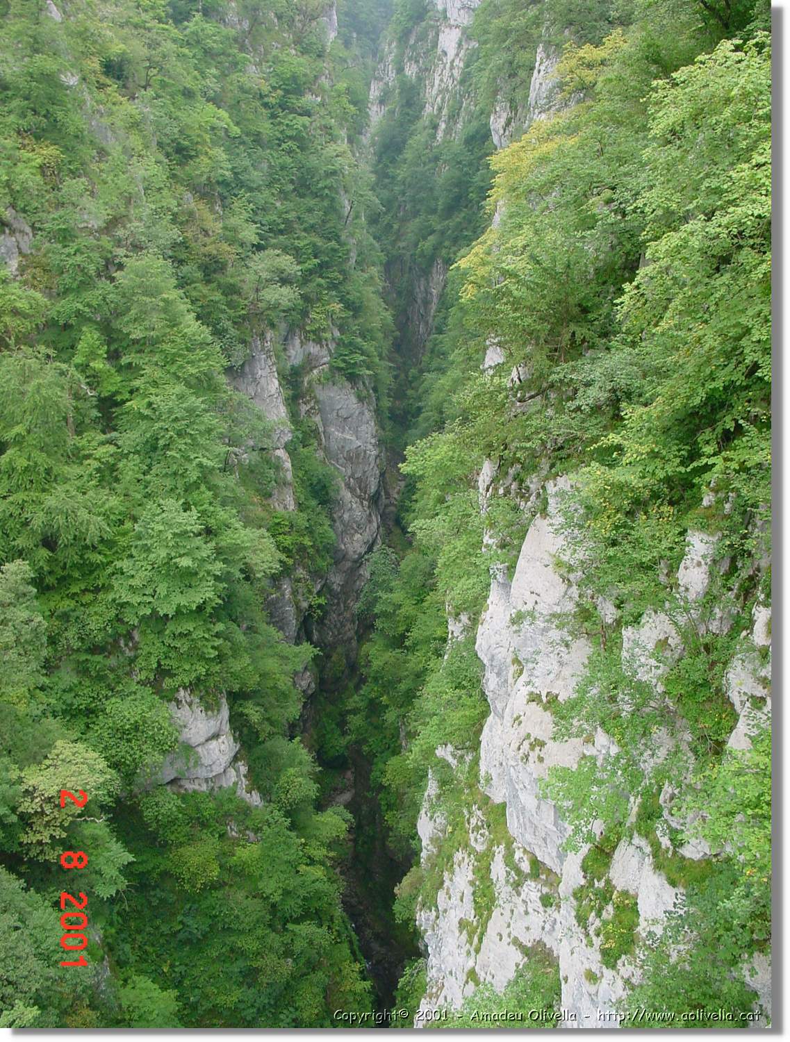 Belagua_283.jpg