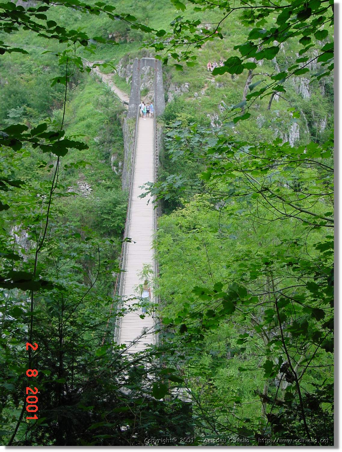 Belagua_284.jpg