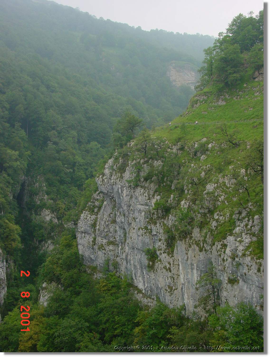 Belagua_287.jpg