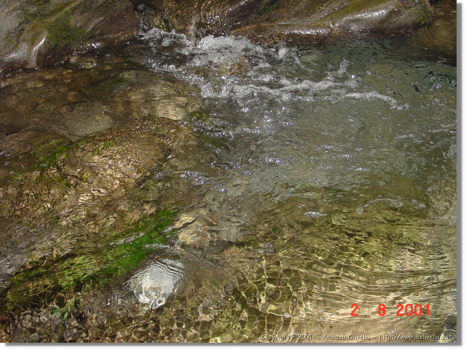 Belagua_290.jpg
