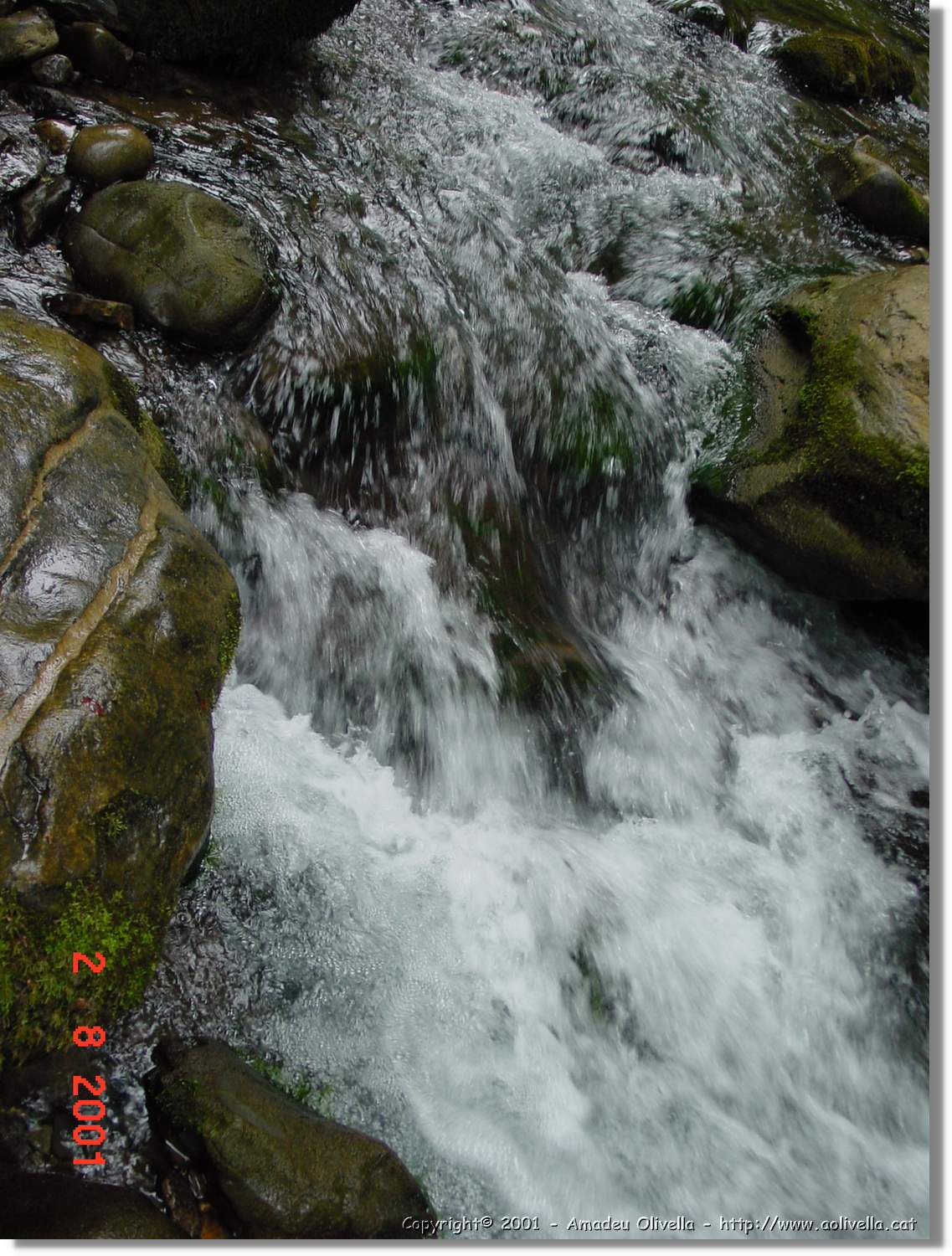 Belagua_291.jpg
