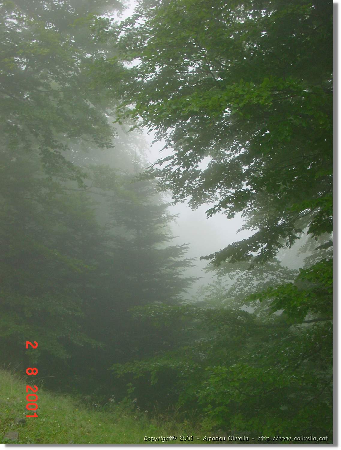 Belagua_293.jpg