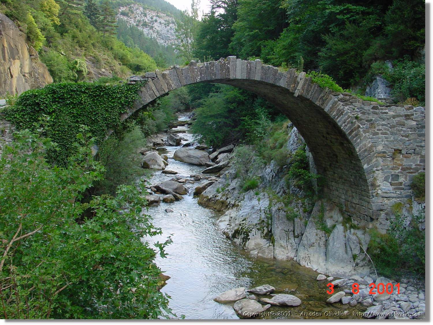 Belagua_306.jpg