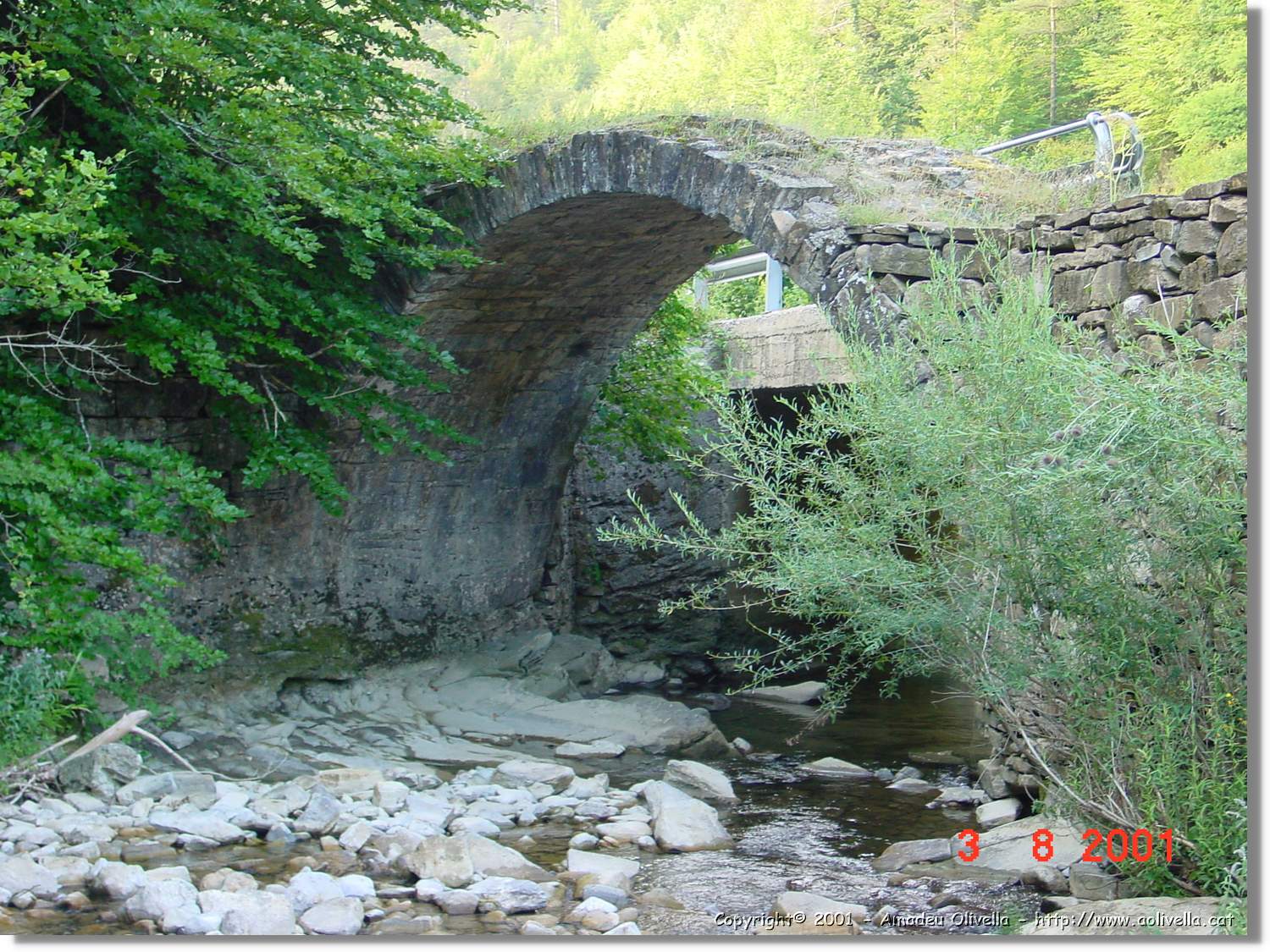Belagua_307.jpg