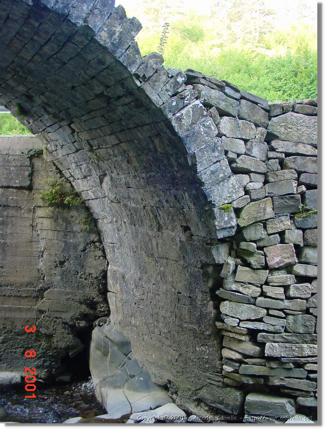 Belagua_308.jpg