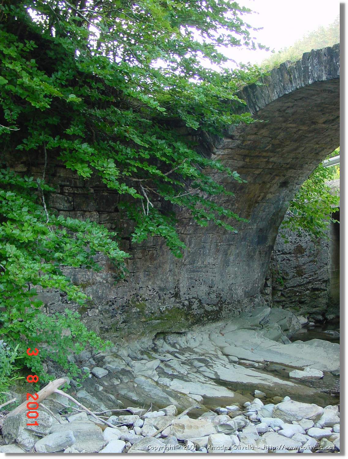 Belagua_309.jpg