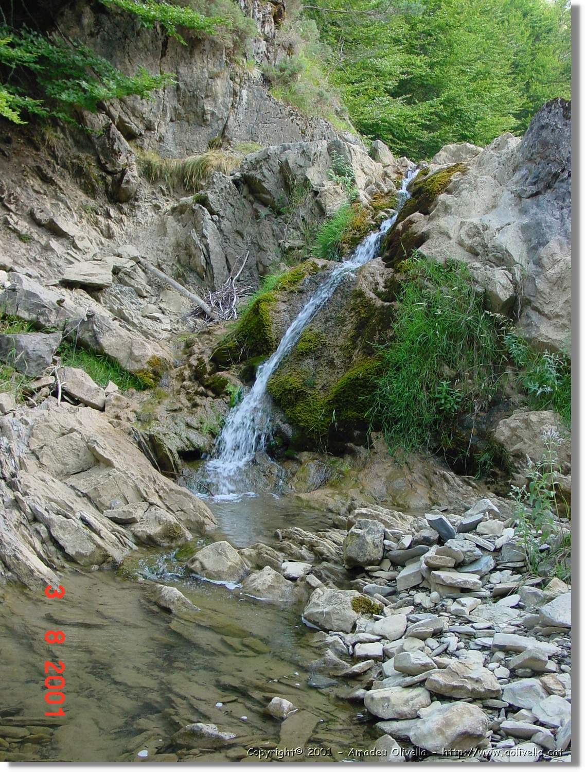 Belagua_310.jpg