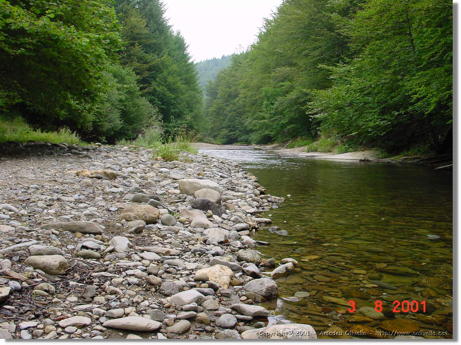 Belagua_313.jpg