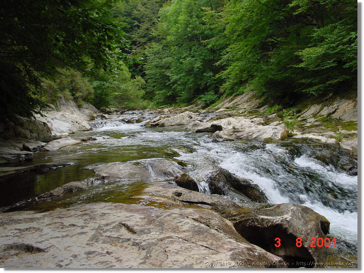 Belagua_319.jpg