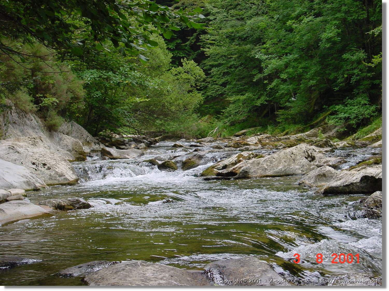 Belagua_320.jpg