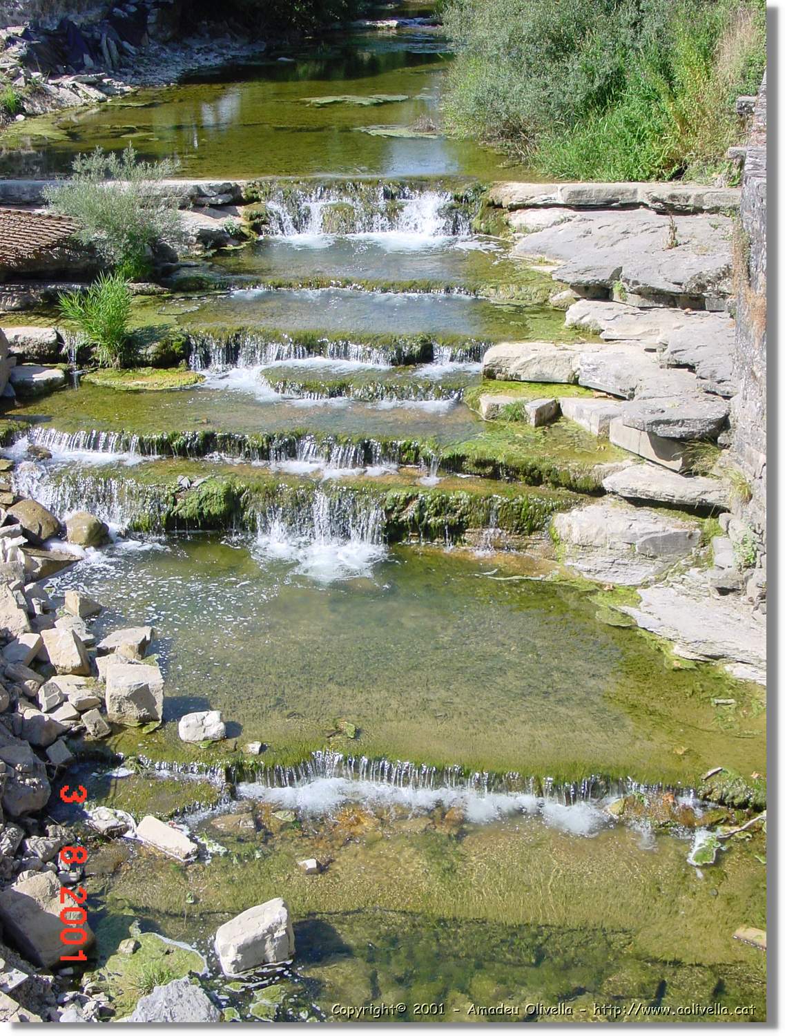 Belagua_337.jpg