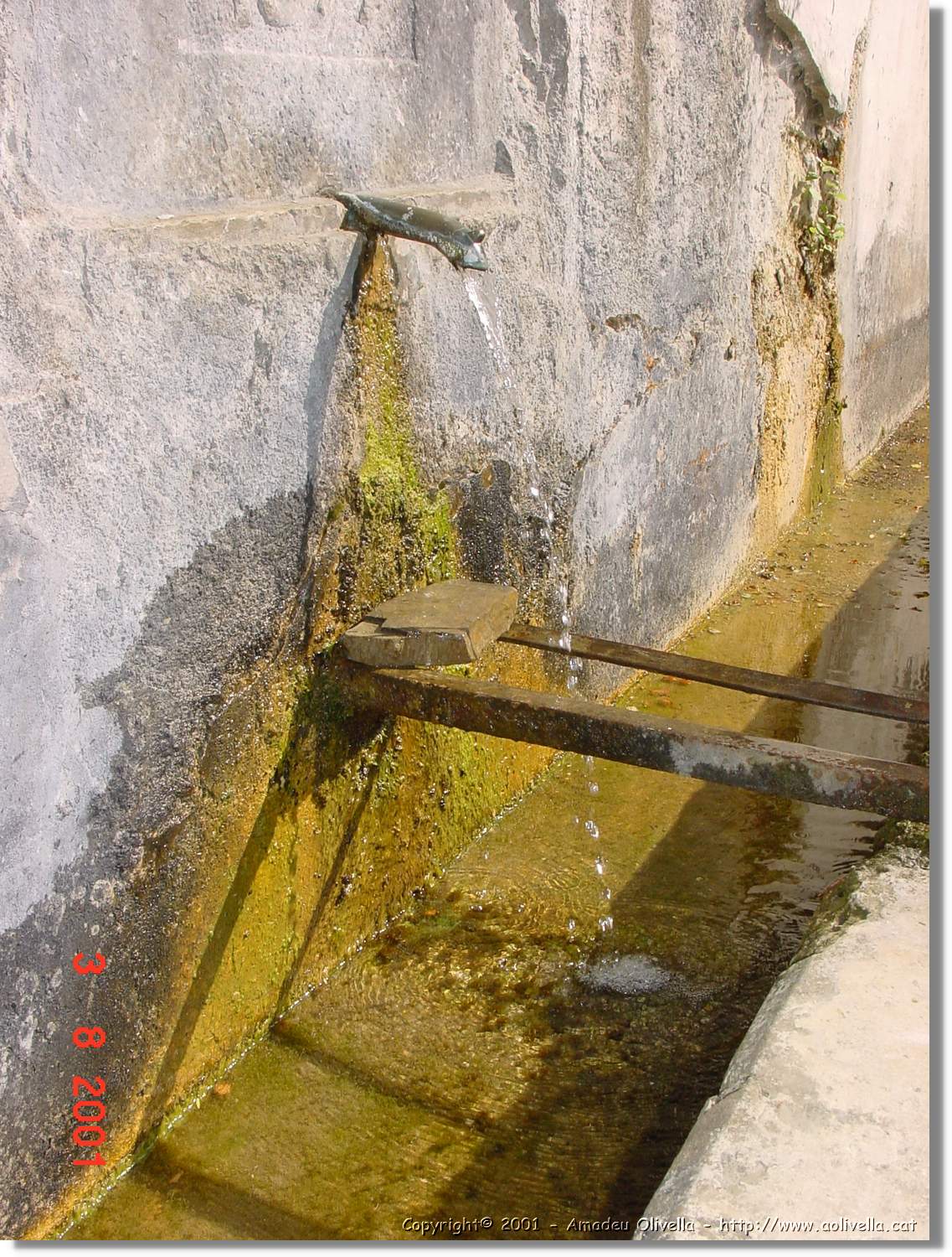 Belagua_345.jpg
