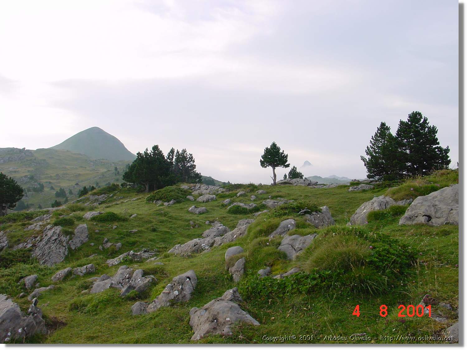 Belagua_346.jpg