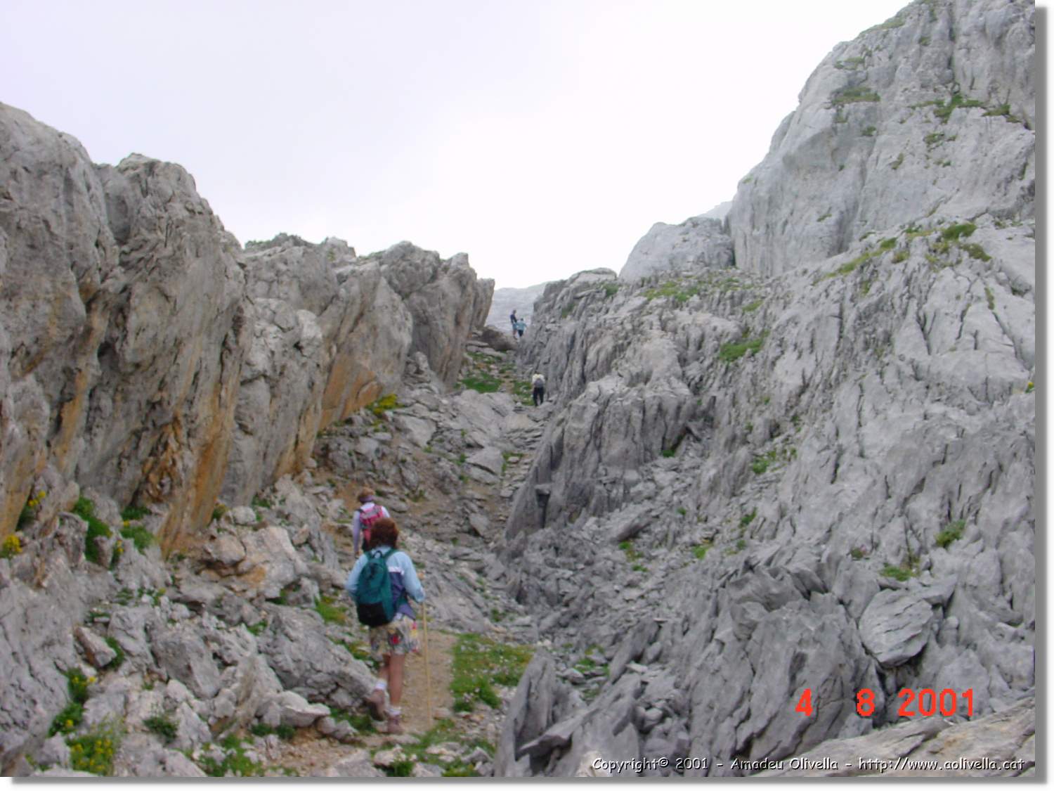 Belagua_356.jpg