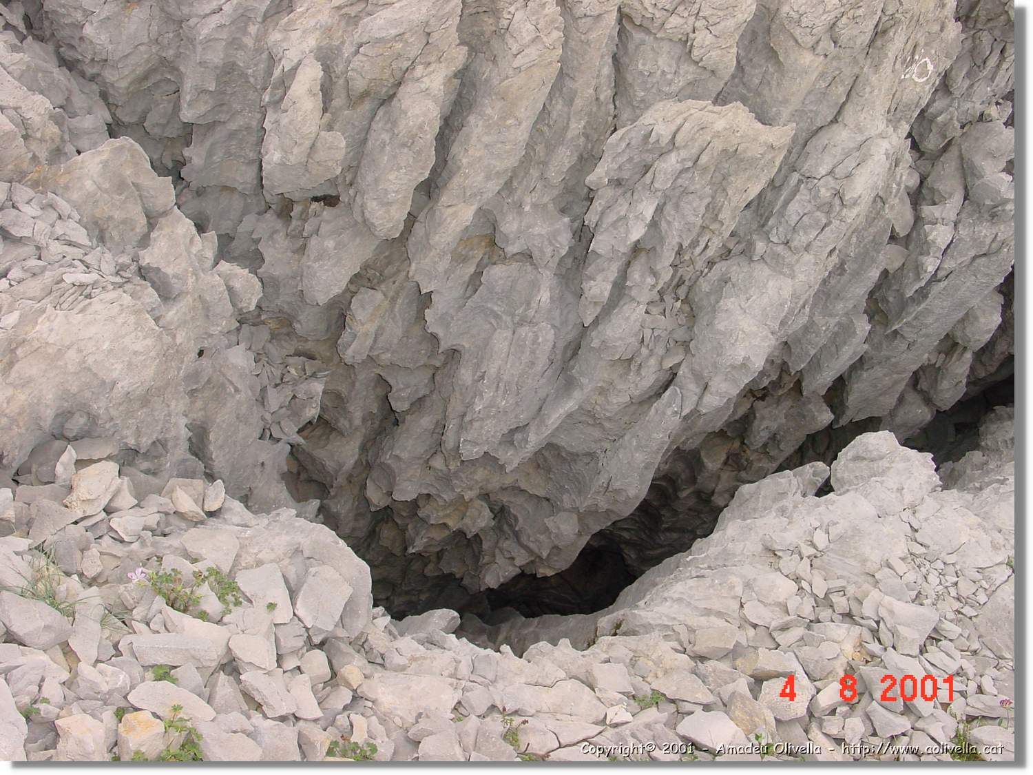 Belagua_374.jpg