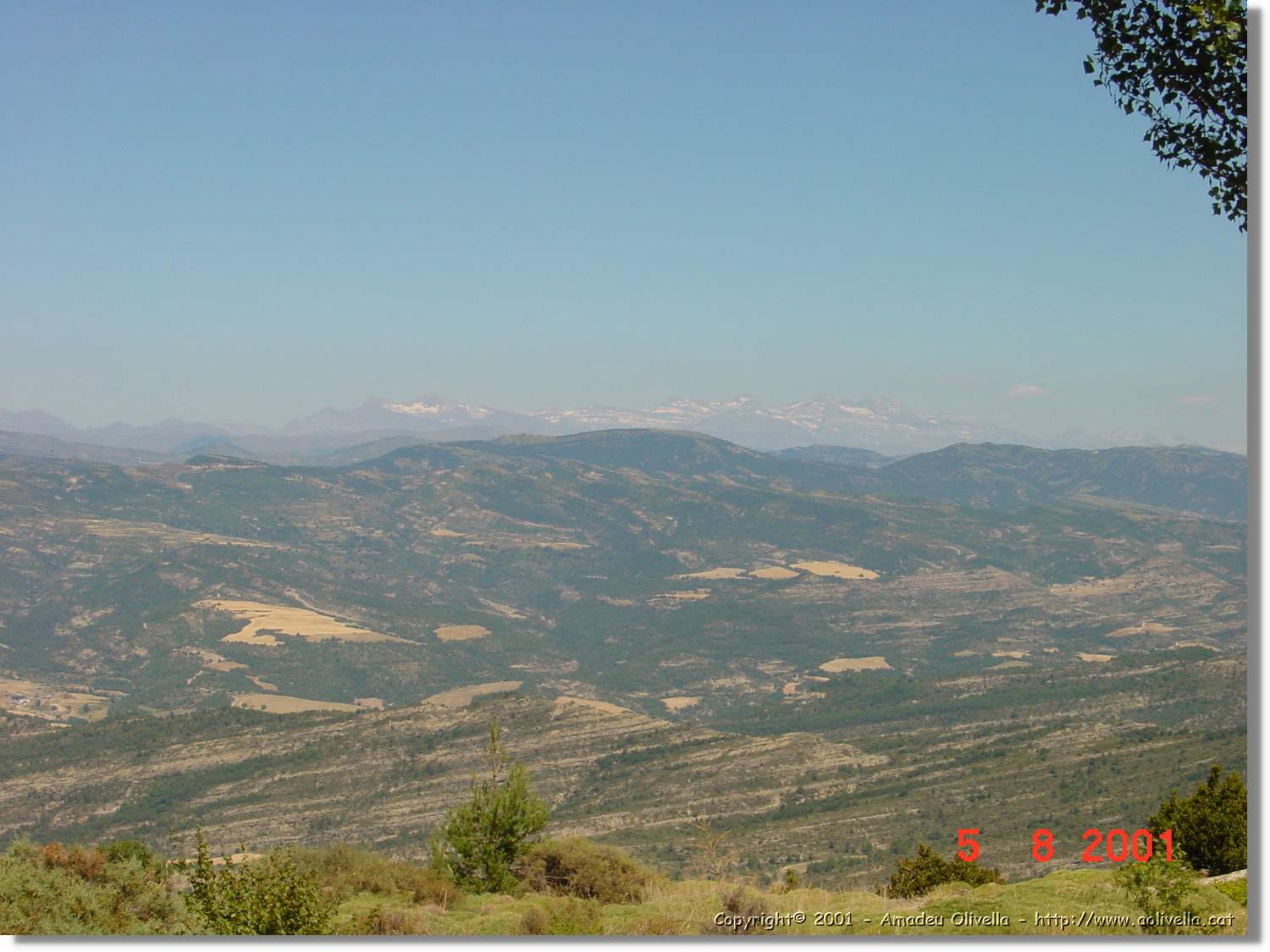 Belagua_387.jpg