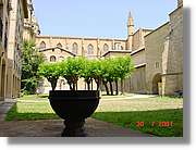 Belagua_146.jpg