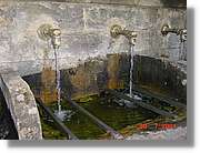 Belagua_175.jpg