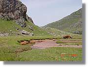 Belagua_184.jpg