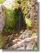 Belagua_185.jpg