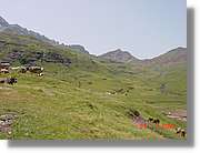 Belagua_189.jpg