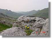Belagua_207.jpg