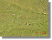 Belagua_216.jpg