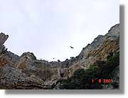 Belagua_232.jpg