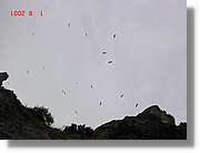 Belagua_239.jpg