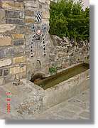 Belagua_249.jpg
