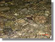 Belagua_265.jpg