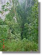 Belagua_269.jpg