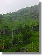 Belagua_288.jpg