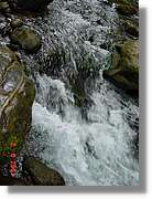 Belagua_291.jpg
