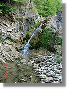Belagua_310.jpg